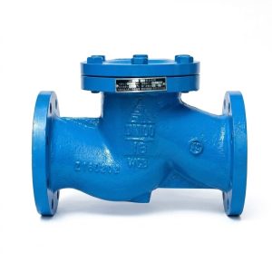 H41H flanged lift check valve, DN80 PN16, cast steel body with 2Cr13 seat
