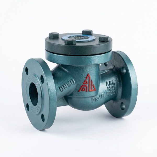 RH41F-25 Gas Lift Check Valve