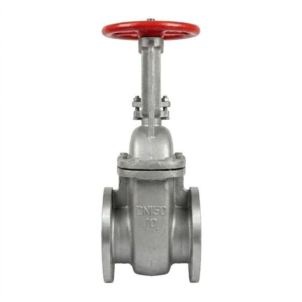 Z45T型闸阀03 Z45T-10 / Z45T-10C Bronze Seat Gate Valve