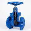 Z45X Resilient Seated Gate Valve