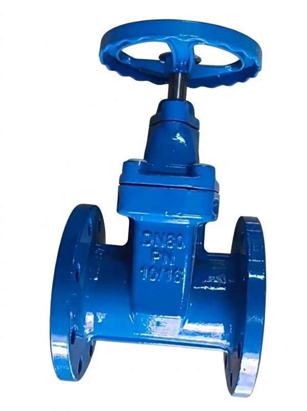 Z45X Resilient Seated Gate Valve