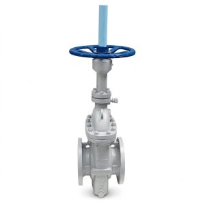RZ47F gas plate gate valve, WCB body, full bore slab gate for gas pipeline