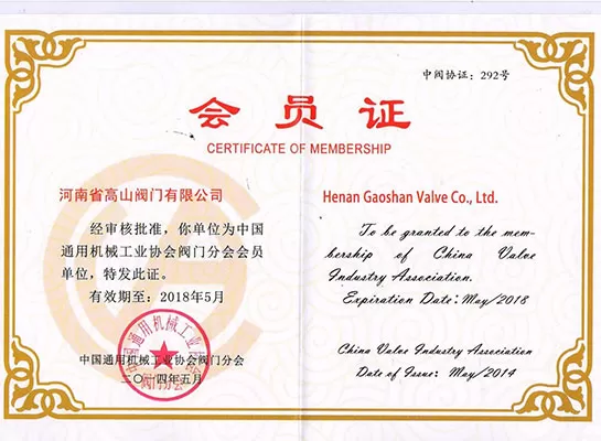 Elected Director Unit of China Valve Industry Association
Henan Gaoshan Valves Co., Ltd.