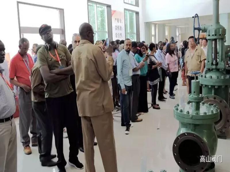 Delegation of international officials inspecting large-scale industrial valves