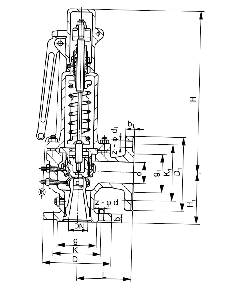 A48Y Spring Full Lift Safety Valve — Gaoshan Valve