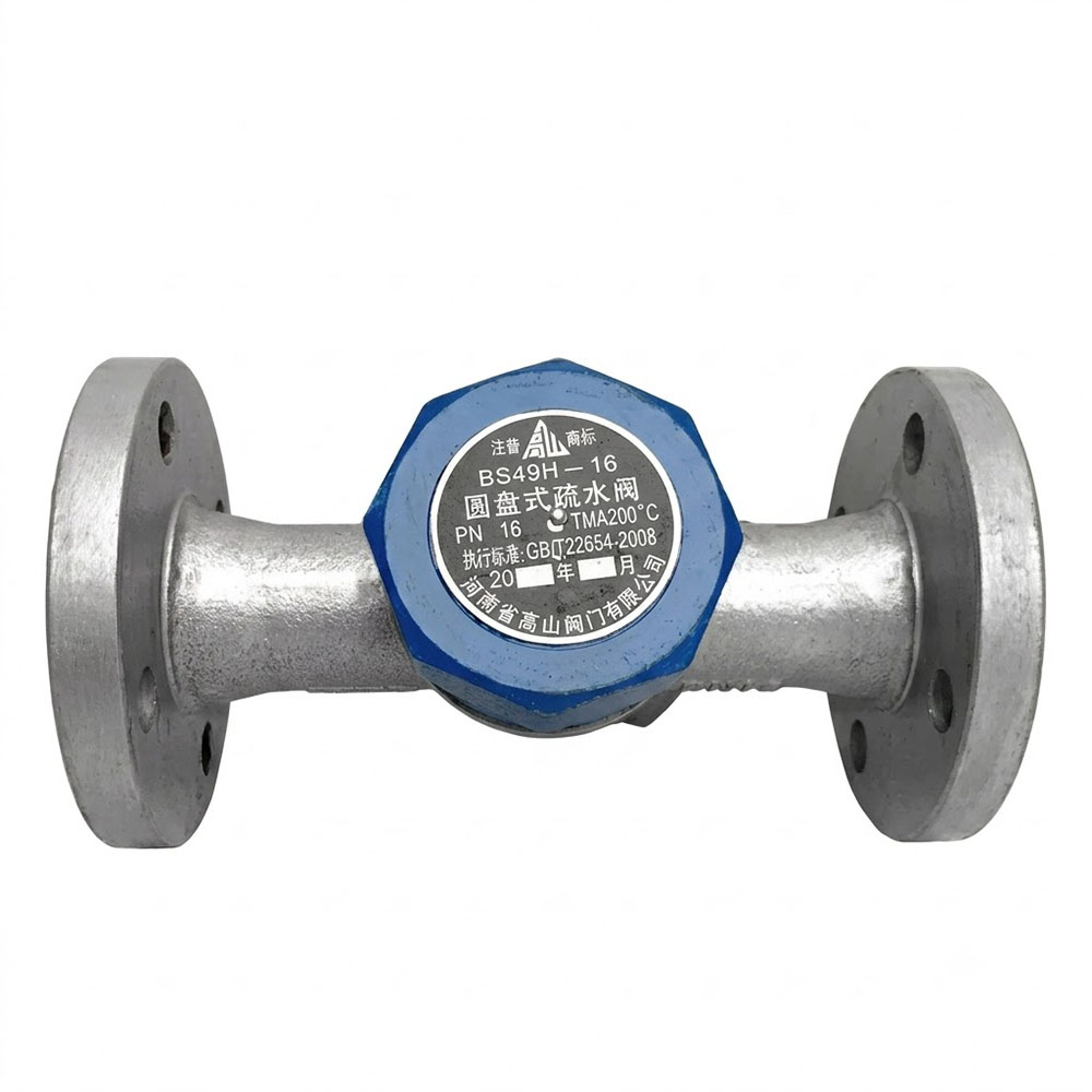 Thermodynamic Steam Trap Manufacturer — BS19H/BS49H Disc Type | Gaoshan Valves
